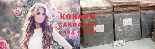 ГАЛЛЮЦИНОГЕННЫЕ ГРИБЫ Белокуриха