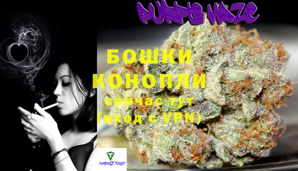 соль ск Балахна