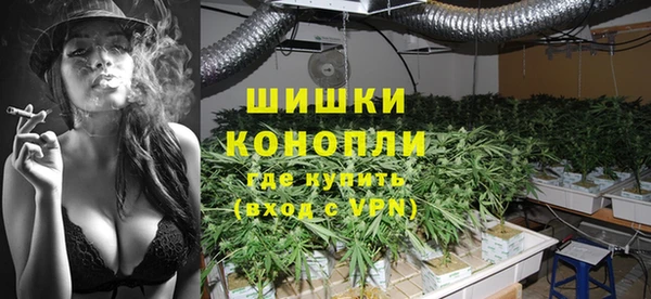 mdpv Богородицк