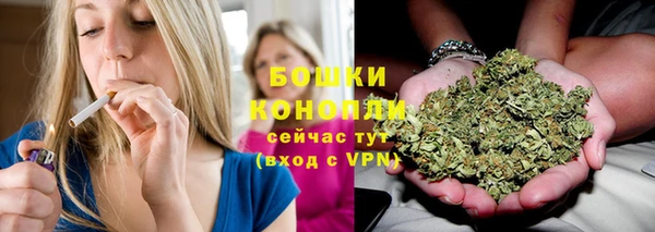 соль ск Балахна