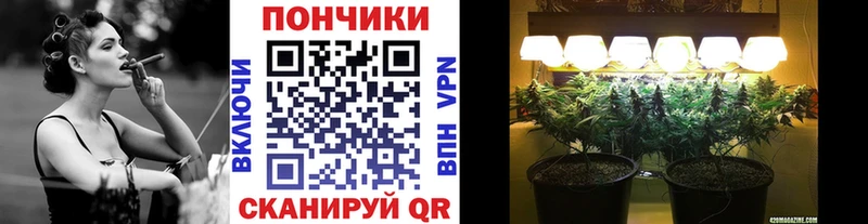 Шишки марихуана MAZAR  цены   Вяземский 
